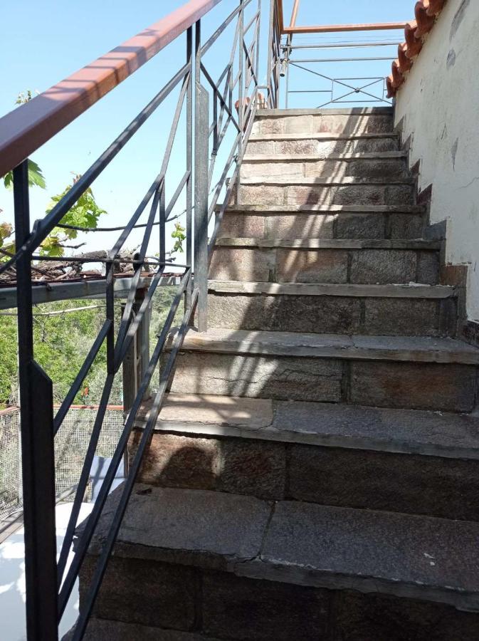 Apartment Christos Center